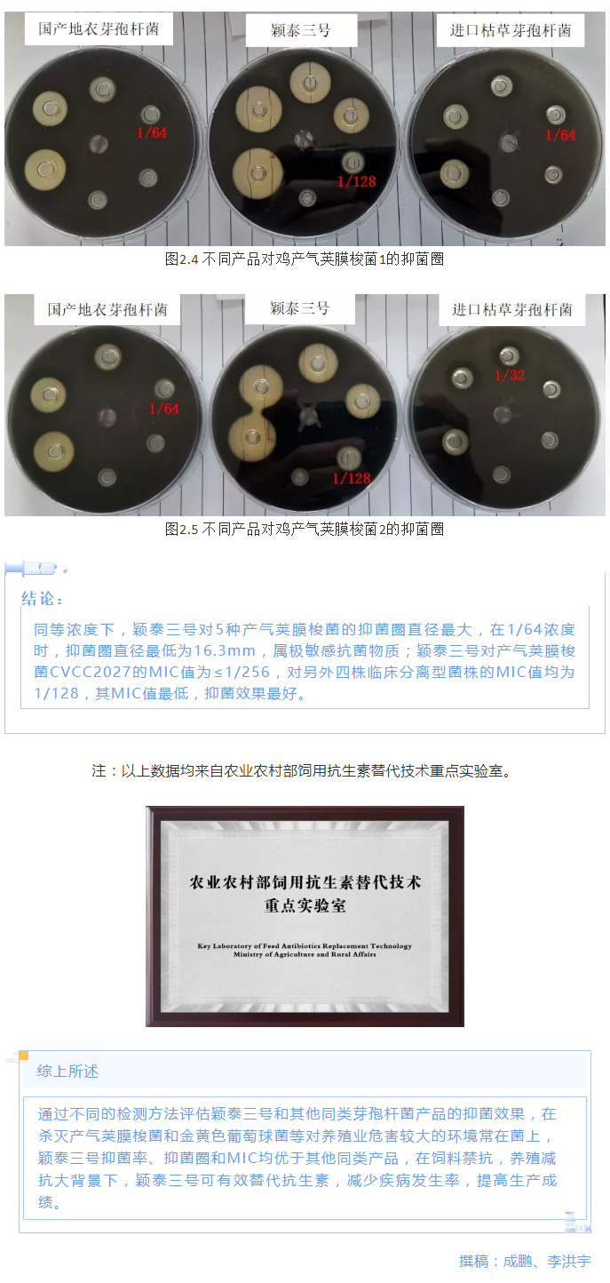 實(shí)驗(yàn)室簡明評估穎泰三號抑菌效果報告_05