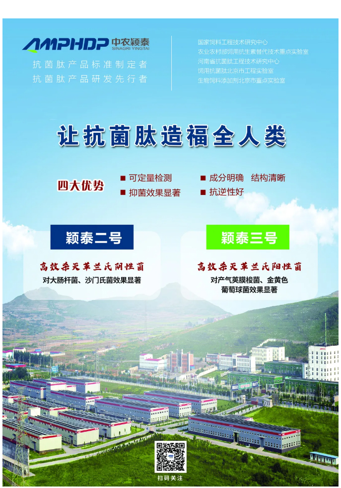 實(shí)驗(yàn)室簡明評估穎泰三號抑菌效果報告_06