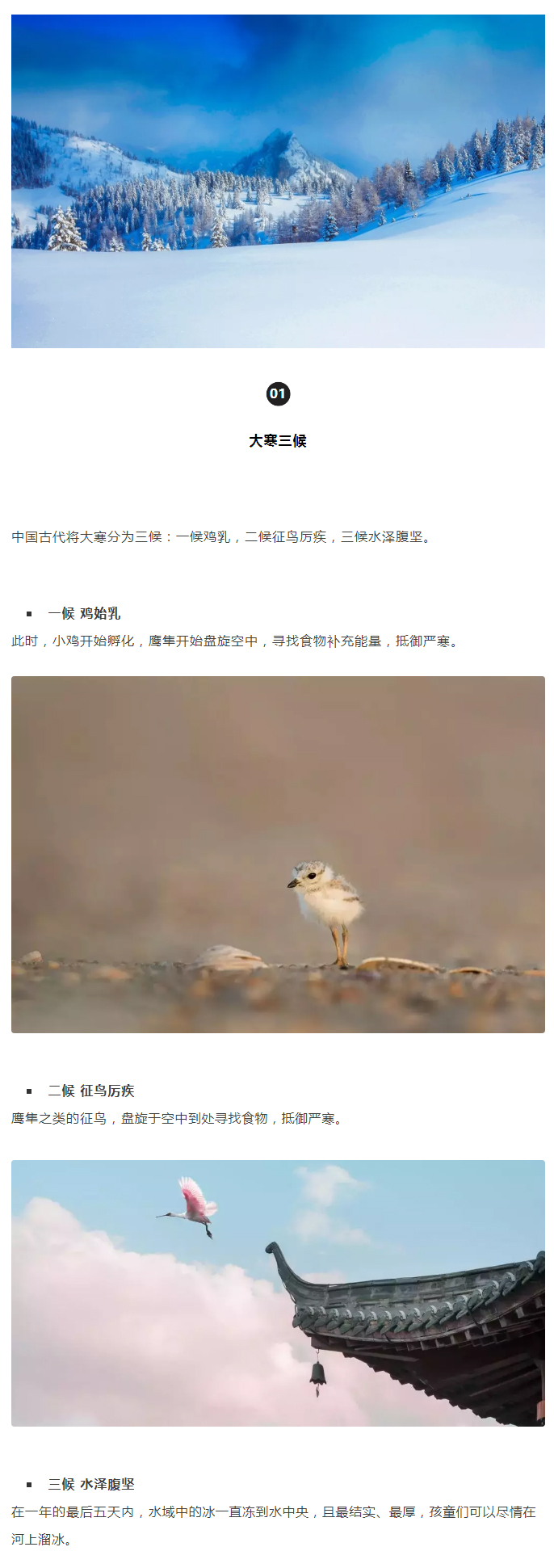 2022年（第5期）：大寒：愿您安暖幸福，歲歲平安_02