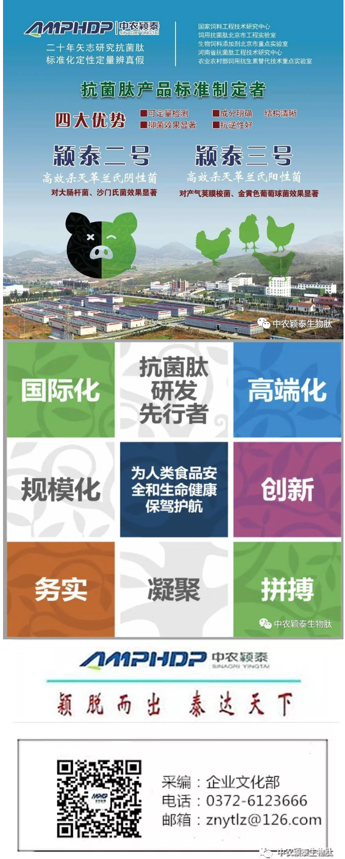 2022年（第5期）：大寒：愿您安暖幸福，歲歲平安_08