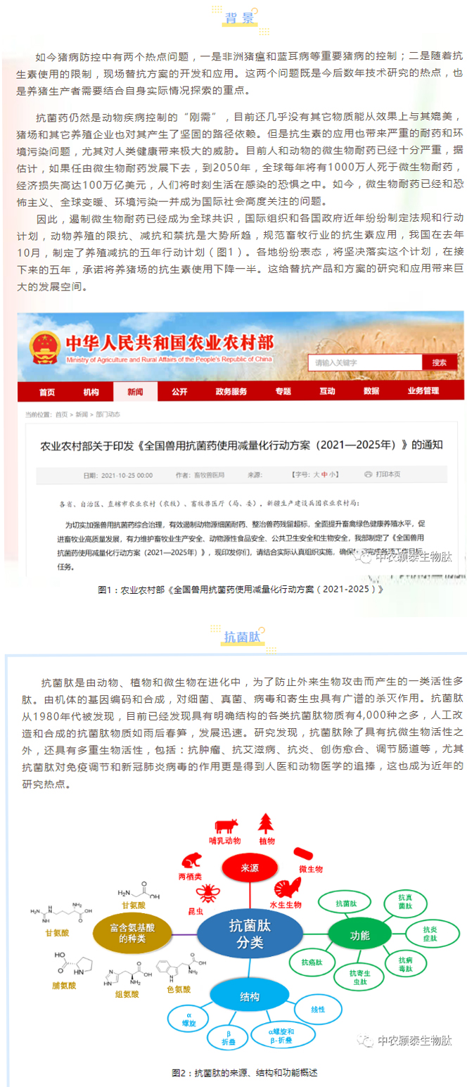 淺談抗菌肽添加劑在養(yǎng)豬現(xiàn)場(chǎng)的應(yīng)用_01