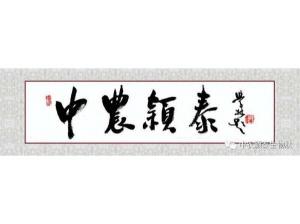 2021年：工作動(dòng)態(tài)，中農(nóng)穎泰工會(huì)順利換屆