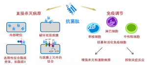 泰倍健——新型免疫增強(qiáng)劑，構(gòu)建核心抗病力